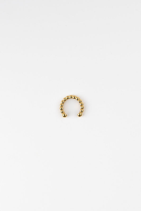 Ané Gold