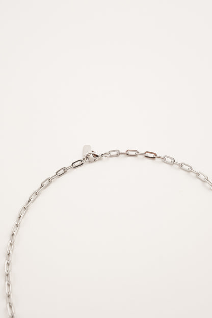 Annelize Silver